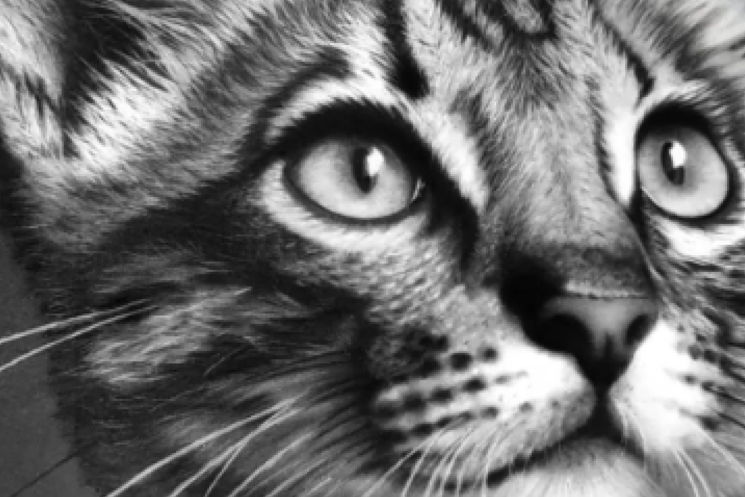 Charcoal Drawing Foundation - Charcoal (Beginner)